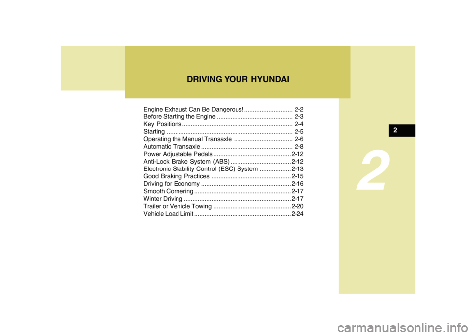 Hyundai Sonata 2010  Owners Manual DRIVING YOUR  HYUNDAI
2
Engine Exhaust Can Be Dangerous! ............................ 2-2
Before Starting the Engine ............................................ 2-3
Key Positions ....................