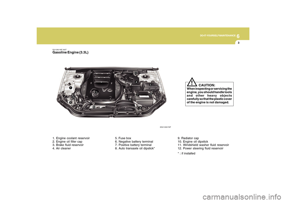 Hyundai Sonata 2010  Owners Manual 6
DO-IT-YOURSELF MAINTENANCE
3
8G010A01NF
G010A01NF-AATGasoline Engine (3.3L)
   CAUTION:
When inspecting or servicing the
engine, you should handle tools
and other heavy objects
carefully so that the