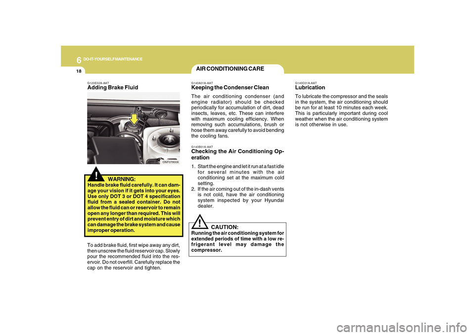 Hyundai Sonata 2010  Owners Manual 6
DO-IT-YOURSELF MAINTENANCE
18
G140C01A-AATLubricationTo lubricate the compressor and the seals
in the system, the air conditioning should
be run for at least 10 minutes each week.
This is particular