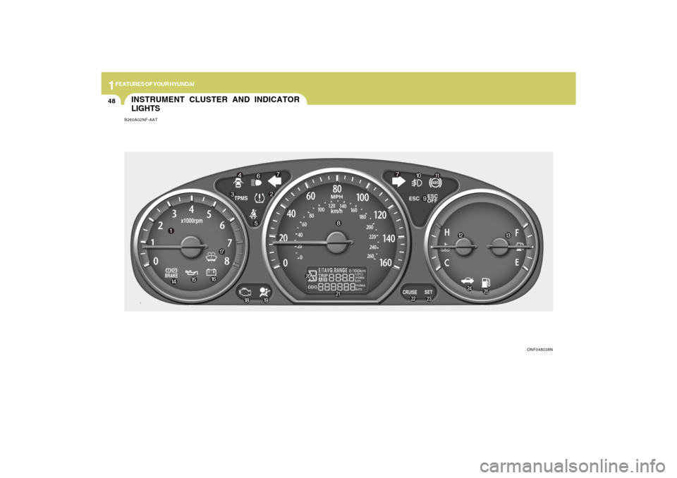 Hyundai Sonata 2009  Owners Manual 1FEATURES OF YOUR HYUNDAI48
INSTRUMENT CLUSTER AND INDICATOR
LIGHTSB260A02NF-AAT
ONF048038N 