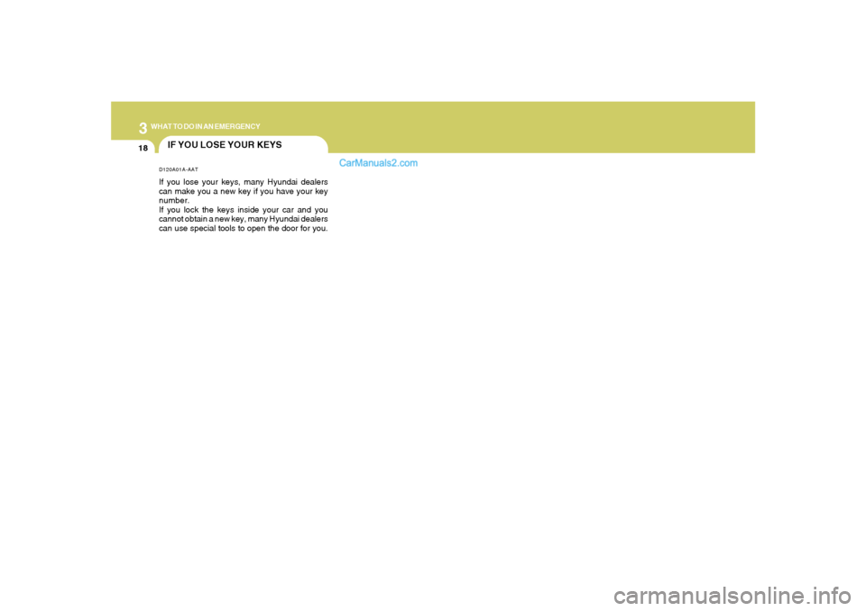 Hyundai Sonata 2007  Owners Manual 318
WHAT TO DO IN AN EMERGENCY
IF YOU LOSE YOUR KEYSD120A01A-AATIf you lose your keys, many Hyundai dealers
can make you a new key if you have your key
number.
If you lock the keys inside your car and