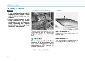 Page 262