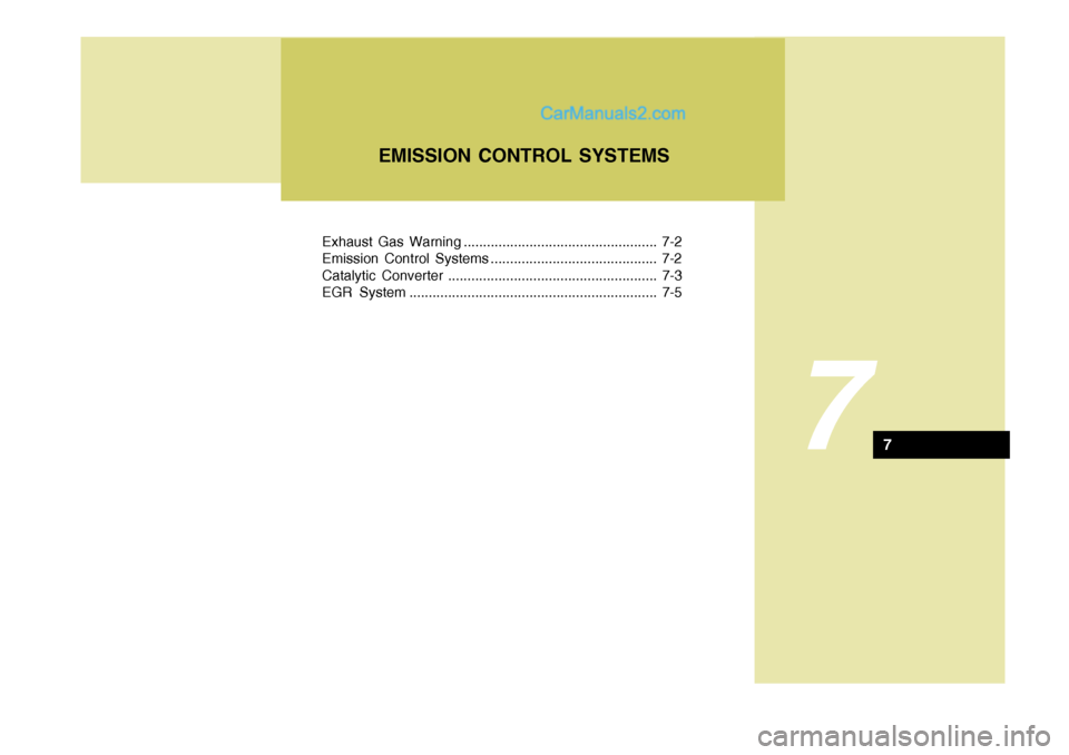 Hyundai Terracan 2006  Owners Manual Exhaust Gas Warning .................................................. 7-2 
Emission Control Systems ........................................... 7-2
Catalytic Converter ...............................