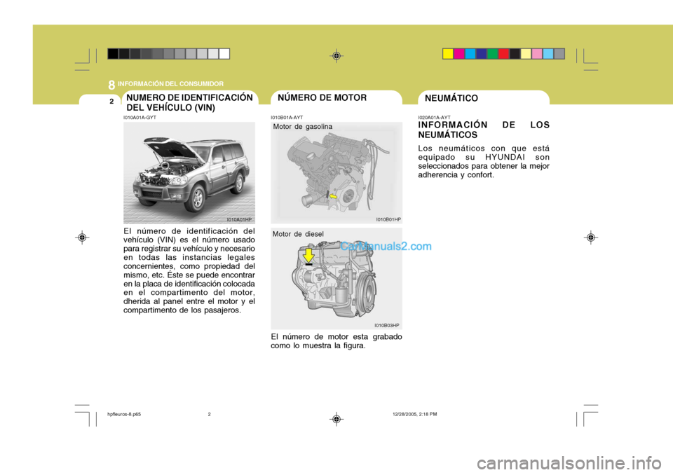 Hyundai Terracan 2006  Manual del propietario (in Spanish) 8INFORMACIÓN DEL CONSUMIDOR
2NÚMERO DE MOTOR
Motor de gasolina
I010B01HP
NEUMÁTICONUMERO DE IDENTIFICACIÓN DEL VEHÍCULO (VIN) I010B01A-AYT
I010A01A-GYT El número de identificación del vehículo