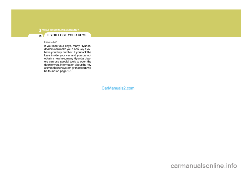 Hyundai Terracan 2005  Owners Manual 3 WHAT TO DO IN AN EMERGENCY
16IF YOU LOSE YOUR KEYS
D120A01A-GAT If you lose your keys, many Hyundai dealers can make you a new key if you have your key number. If you lock the keys inside your car a