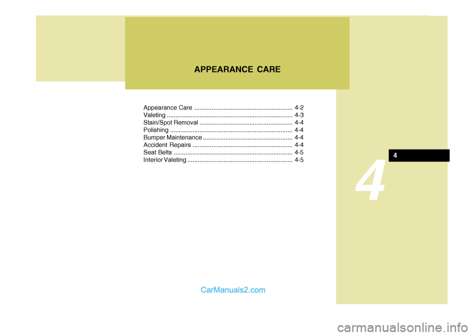 Hyundai Terracan 2005  Owners Manual 4
Appearance Care ......................................................... 4-2 
Valeting ......................................................................... 4-3
Stain/Spot Removal .............