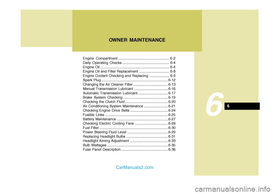Hyundai Terracan 2005  Owners Manual Engine Compartment ................................................... 6-2 
Daily Operating Checks ............................................... 6-4
Engine Oil ......................................