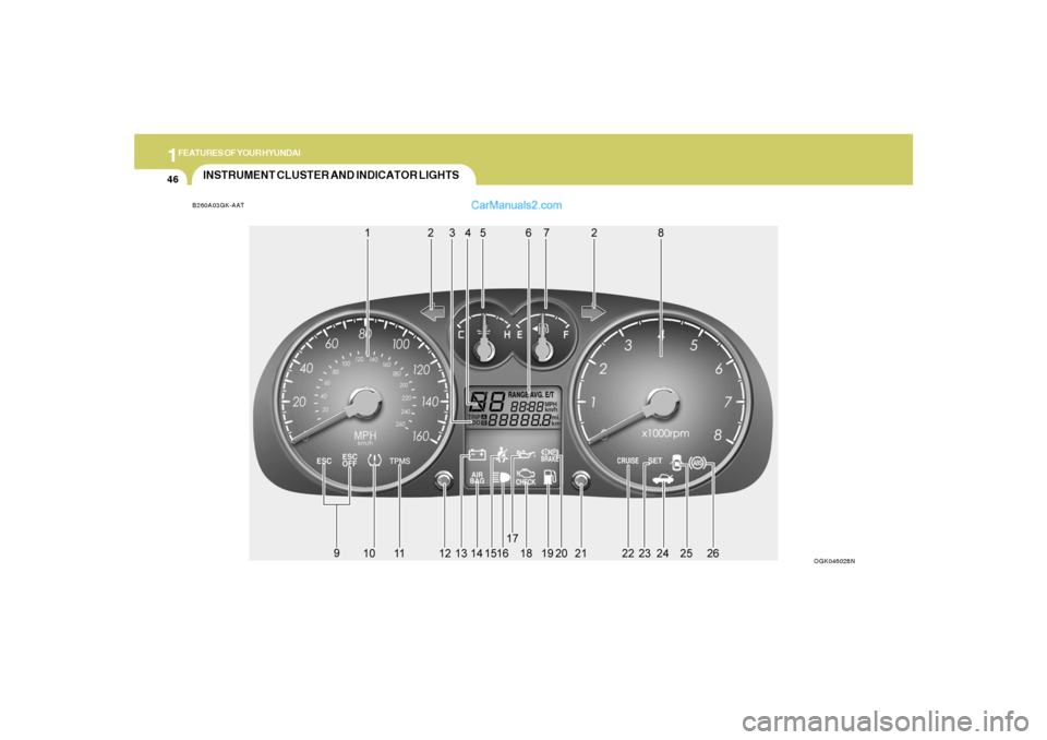 Hyundai Tiburon 2008  Owners Manual 1FEATURES OF YOUR HYUNDAI46
INSTRUMENT CLUSTER AND INDICATOR LIGHTSB260A03GK-AAT
OGK046028N  