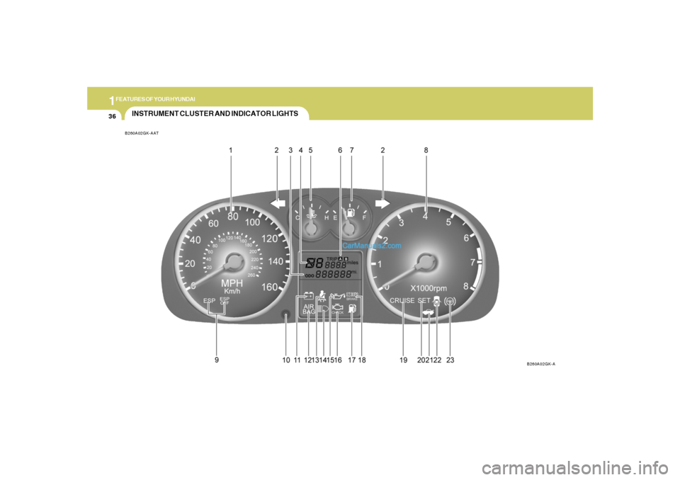Hyundai Tiburon 2006  Owners Manual 1FEATURES OF YOUR HYUNDAI36
INSTRUMENT CLUSTER AND INDICATOR LIGHTSB260A02GK-AAT
B260A02GK-A  