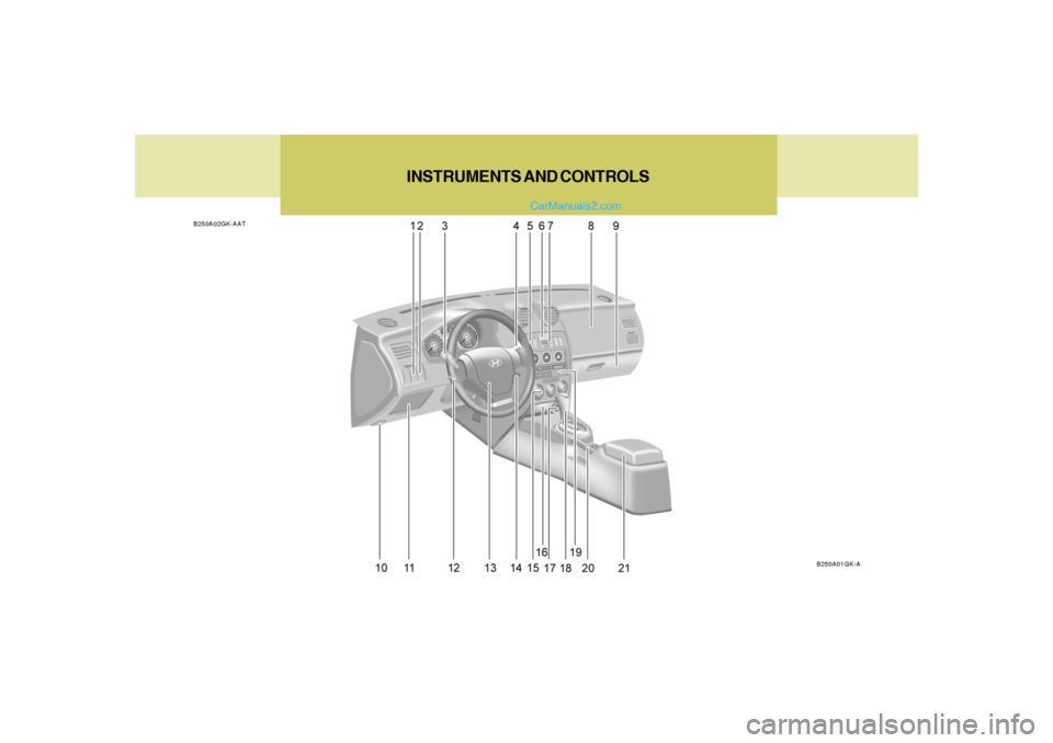 Hyundai Tiburon 2006  Owners Manual INSTRUMENTS AND CONTROLS
B250A02GK-AAT
B250A01GK-A  