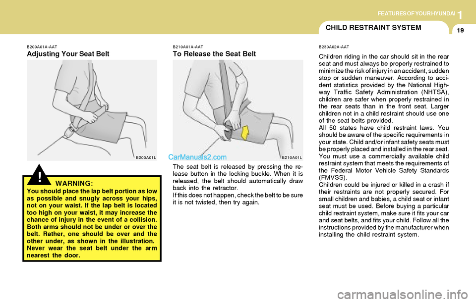 Hyundai Tiburon 2004  Owners Manual 1FEATURES OF YOUR HYUNDAI
19CHILD RESTRAINT SYSTEM
!
B200A01A-AAT
Adjusting Your Seat Belt
WARNING:
You should place the lap belt portion as low
as possible and snugly across your hips,
not on your wa