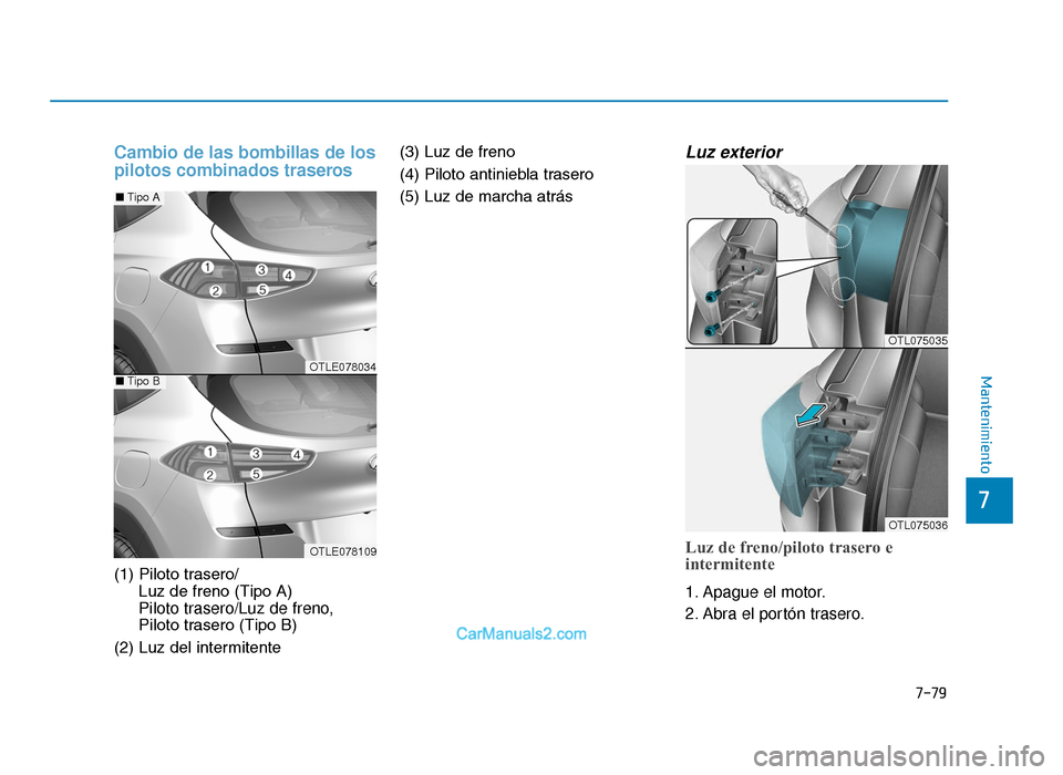 Hyundai Tucson 2019  Manual del propietario (in Spanish) 7-79
7
Mantenimiento
Cambio de las bombillas de los
pilotos combinados traseros
(1) Piloto trasero/Luz de freno (Tipo A)
Piloto trasero/Luz de freno,
Piloto trasero (Tipo B)
(2) Luz del intermitente (