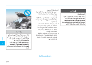 Page 529