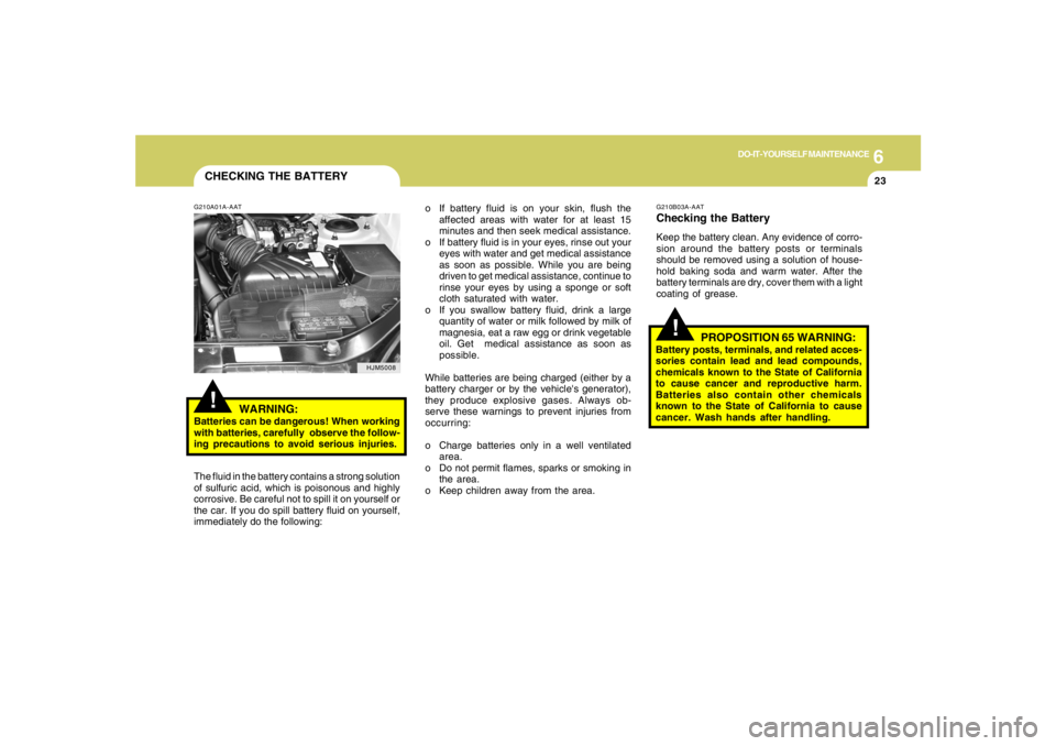 HYUNDAI TUCSON 2005  Owners Manual 6
DO-IT-YOURSELF MAINTENANCE
23
CHECKING THE BATTERY!
G210A01A-AAT
WARNING:
Batteries can be dangerous! When working
with batteries, carefully  observe the follow-
ing precautions to avoid serious inj