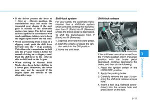 Page 251