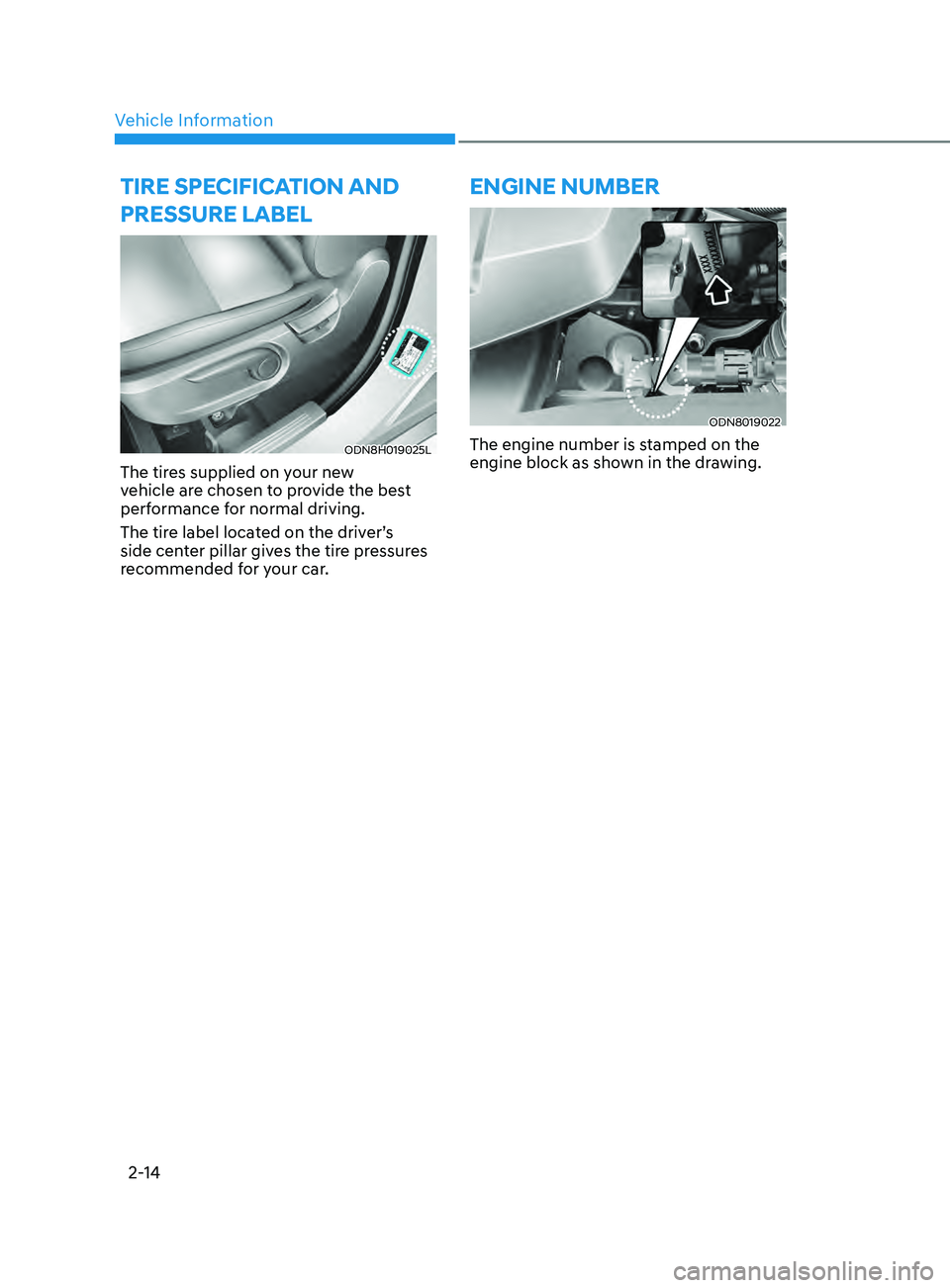 HYUNDAI SONATA 2021  Owners Manual Vehicle Information2-14
tirE sPECifiCa tion an D  
Pr E ssur E   l a BE l
ODN8H019025L
The tires supplied on your new 
vehicle are chosen to provide the best 
performance for normal driving.
The tire 