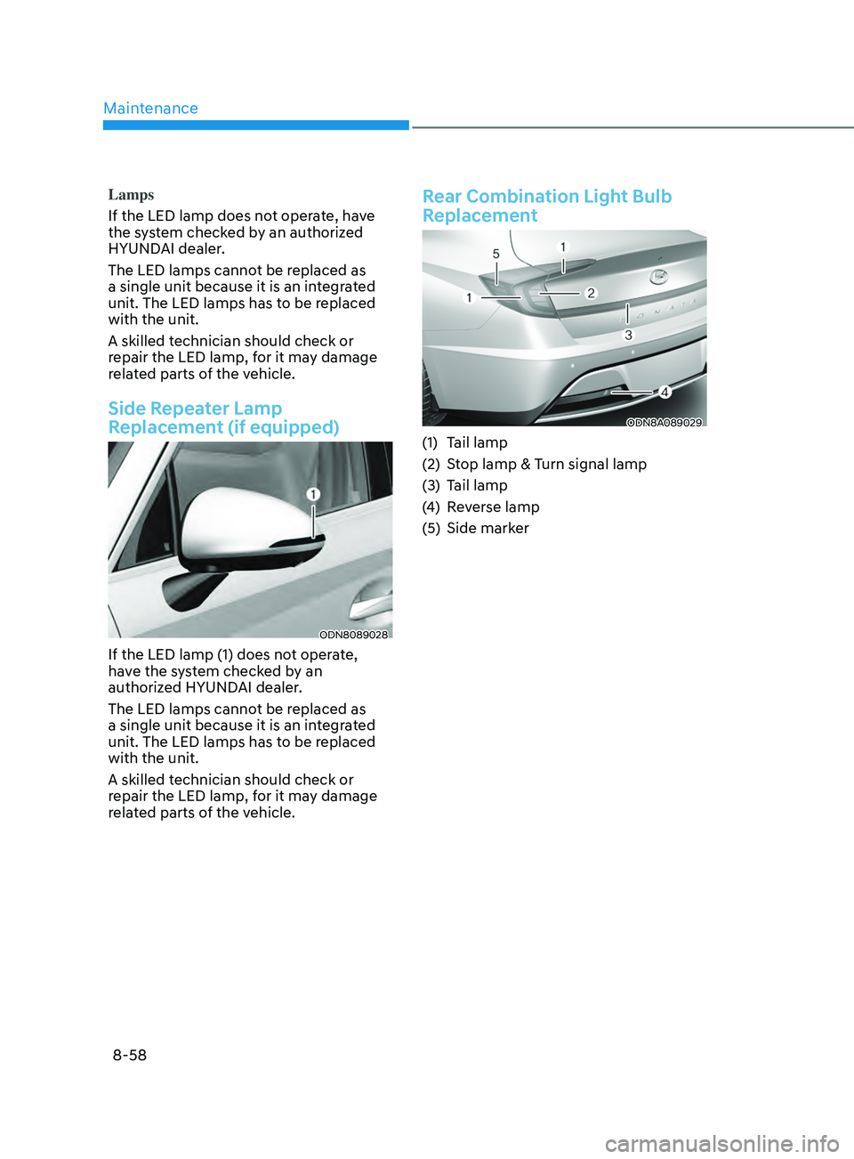 HYUNDAI SONATA 2021  Owners Manual Maintenance
8-58
Lamps
If the LED lamp does not operate, have 
the system checked by an authorized 
HYUNDAI dealer.
The LED lamps cannot be replaced as 
a single unit because it is an integrated 
unit