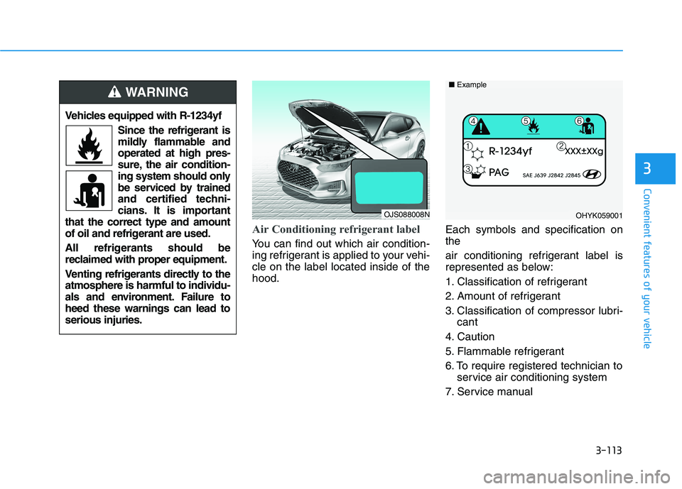 HYUNDAI VELOSTER 2021  Owners Manual 3-113
Convenient features of your vehicle
Air Conditioning refrigerant label
You can find out which air condition-
ing refrigerant is applied to your vehi-
cle on the label located inside of the
hood.