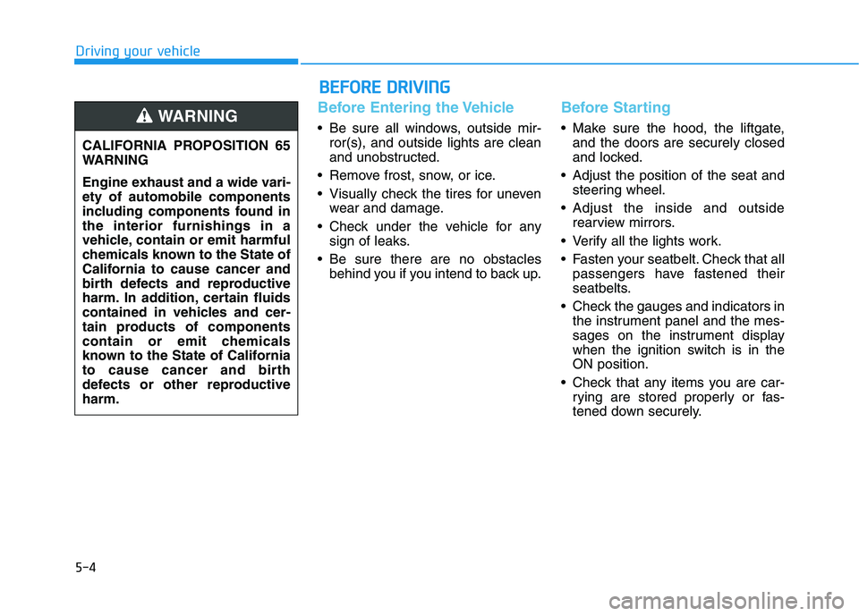 HYUNDAI VELOSTER 2021  Owners Manual 5-4
Driving your vehicle
Before Entering the Vehicle
• Be sure all windows, outside mir-
ror(s), and outside lights are clean
and unobstructed.
 Remove frost, snow, or ice.
 Visually check the tires