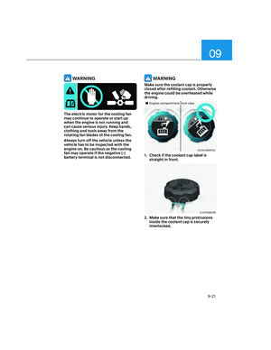 Page 529