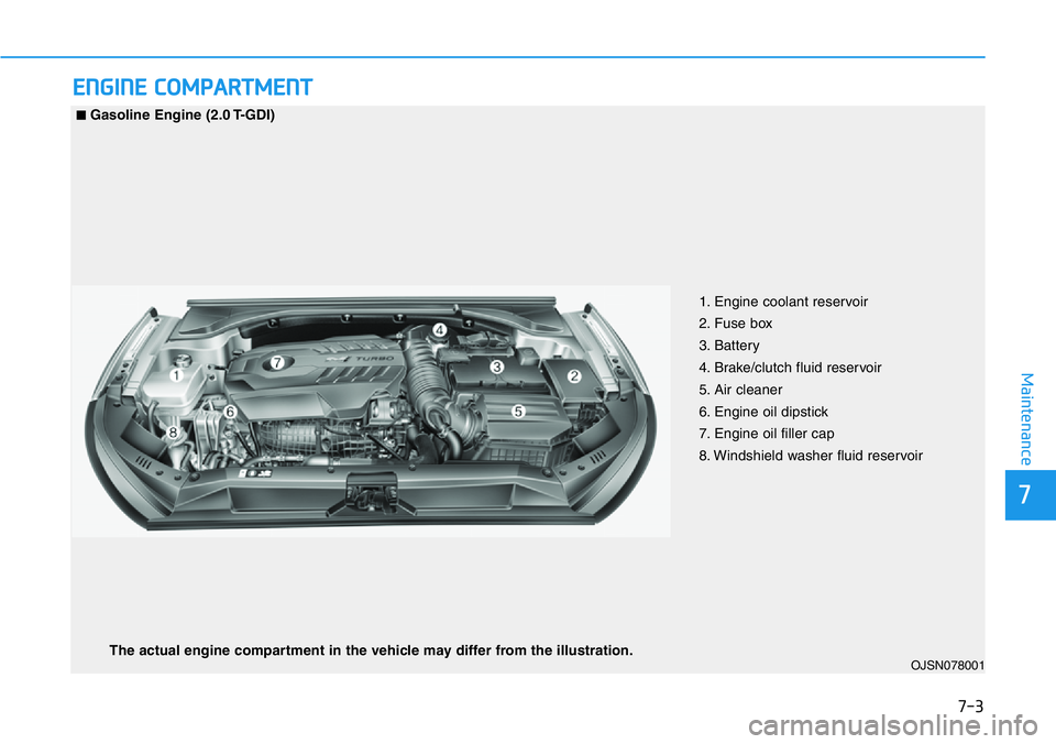 HYUNDAI VELOSTER N 2022  Owners Manual 7-3
7
Maintenance
ENGINE COMPARTMENT 
OJSN078001 
■Gasoline Engine (2.0 T-GDI)
1. Engine coolant reservoir
2. Fuse box 
3. Battery
4. Brake/clutch fluid reservoir
5. Air cleaner
6. Engine oil dipsti