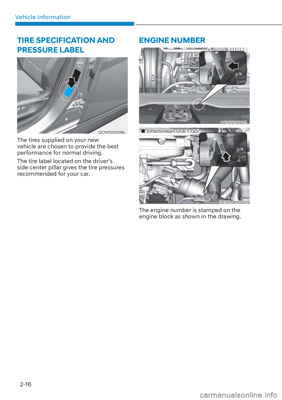 HYUNDAI ELANTRA 2023  Owners Manual Vehicle Information2-16
TIRE SPECIFICATION AND 
PRESSURE LABEL
OCN7010009L
The tires supplied on your new 
vehicle are chosen to provide the best 
performance for normal driving.
The tire label locate