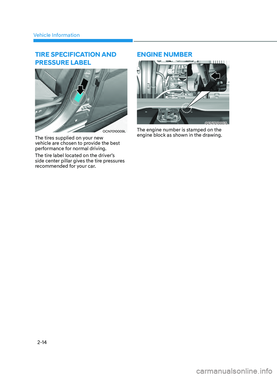 HYUNDAI ELANTRA SEL 2021  Owners Manual Vehicle Information2-14
tirE sPECifiCation anD 
Pr
EssurE laBEl
OCN7010009L
The tires supplied on your new 
vehicle are chosen to provide the best 
performance for normal driving.
The tire label locat