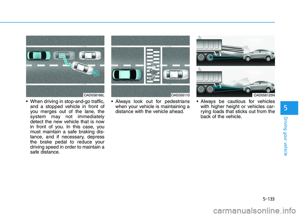 HYUNDAI ELANTRA SPORT 2019  Owners Manual 5-133
Driving your vehicle
5
 When driving in stop-and-go traffic,and a stopped vehicle in front of 
you merges out of the lane, the
system may not immediately
detect the new vehicle that is now
in fr