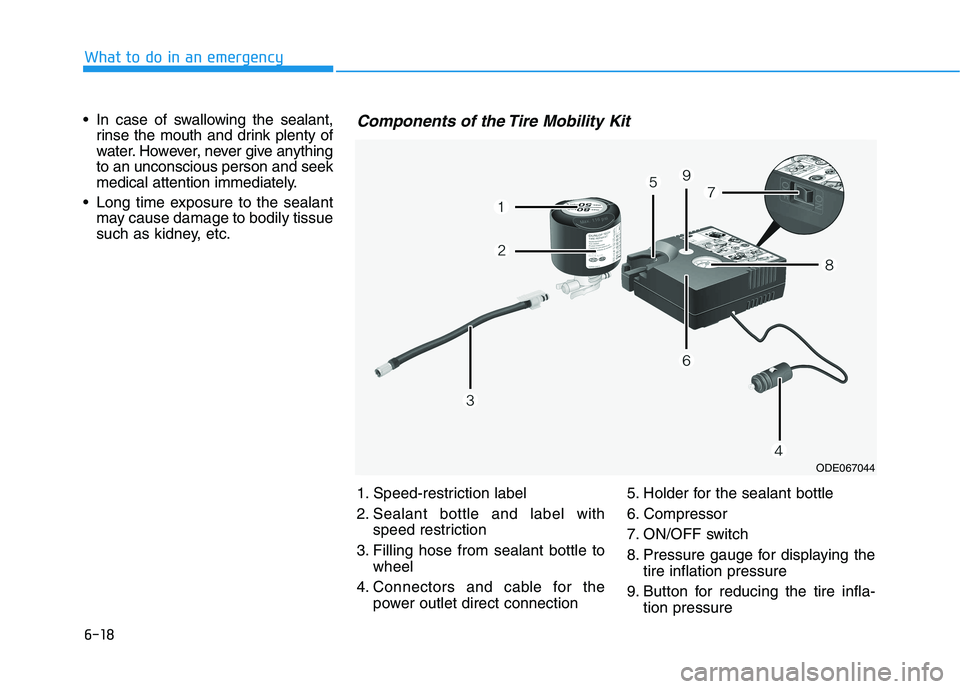 HYUNDAI ELANTRA SPORT 2019  Owners Manual 6-18
What to do in an emergency
 In case of swallowing the sealant,rinse the mouth and drink plenty of 
water. However, never give anythingto an unconscious person and seek
medical attention immediate