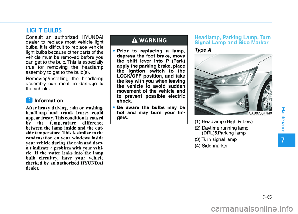 HYUNDAI ELANTRA SPORT 2019  Owners Manual 7-65
7
Maintenance
LLIIGG HH TT  BB UU LLBB SS
Consult an authorized HYUNDAI 
dealer to replace most vehicle light
bulbs. It is difficult to replace vehicle
light bulbs because other parts of the
vehi