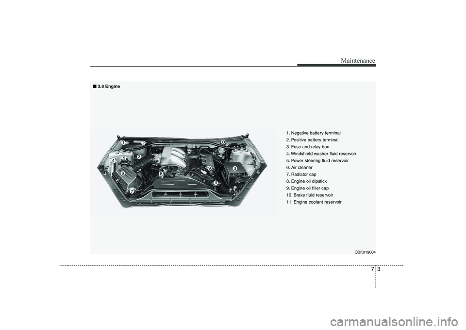 HYUNDAI GENESIS G80 2009  Owners Manual 73
Maintenance
1. Negative battery terminal 
2. Positive battery terminal
3. Fuse and relay box
4. Windshield washer fluid reservoir
5. Power steering fluid reservoir
6. Air cleaner
7. Radiator cap
8.