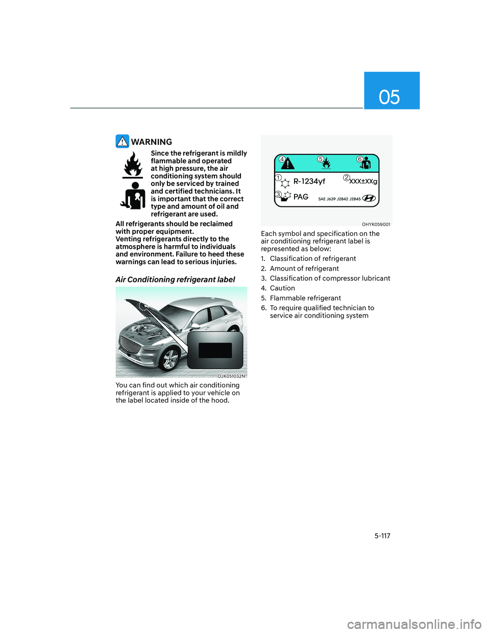 HYUNDAI GENESIS GV70 2022  Owners Manual 05
5-117
 WARNING
Since the refrigerant is mildly 
flammable and operated 
at high pressure, the air 
conditioning system should 
only be serviced by trained 
and certified technicians. It 
is importa