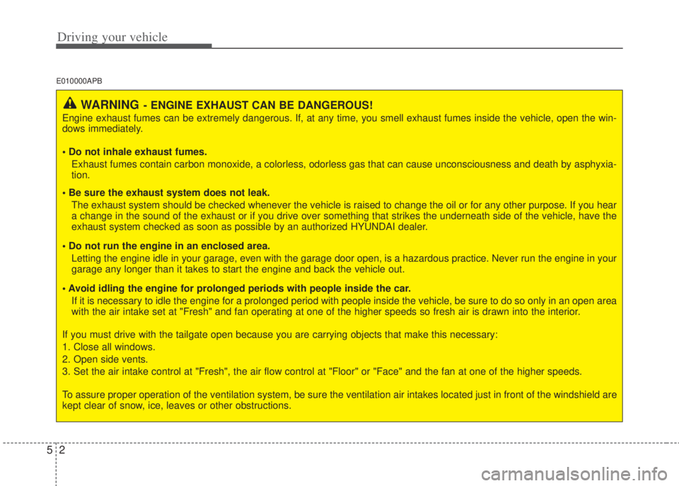 HYUNDAI I20 2011  Owners Manual Driving your vehicle
2 5
E010000APB
WARNING- ENGINE EXHAUST CAN BE DANGEROUS!
Engine exhaust fumes can be extremely dangerous. If, at any time, you smell exhaust fumes inside the vehicle, open the win
