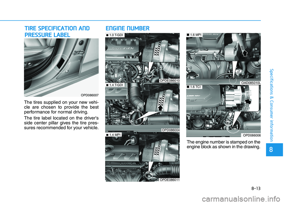HYUNDAI I30 2021  Owners Manual 8-13
8
Specifications & Consumer information
The tires supplied on your new vehi-
cle are chosen to provide the best
performance for normal driving.
The tire label located on the drivers
side center 