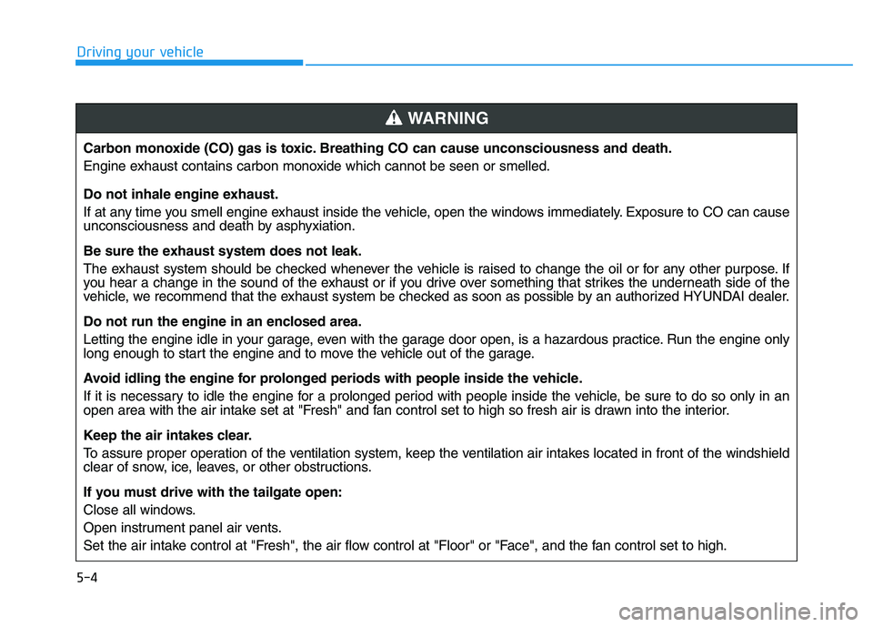 HYUNDAI I30 2019  Owners Manual 5-4
Driving your vehicleCarbon monoxide (CO) gas is toxic. Breathing CO can cause unconsciousness and death.
Engine exhaust contains carbon monoxide which cannot be seen or smelled.
Do not inhale engi