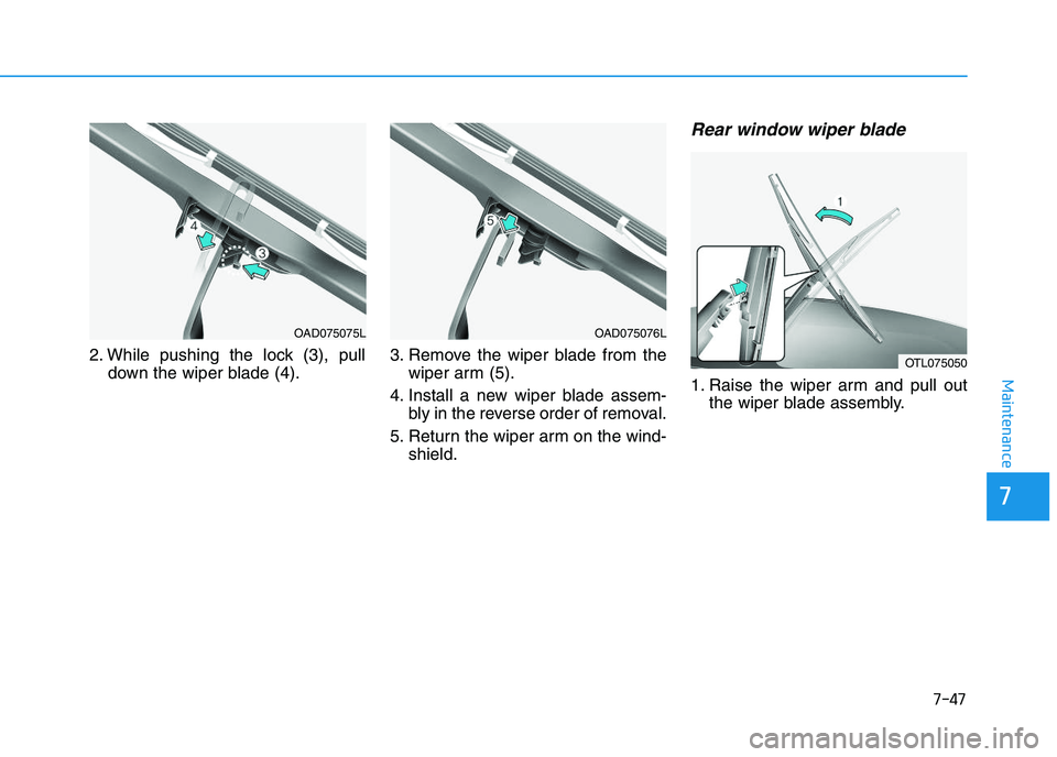 HYUNDAI I30 2018  Owners Manual 7-47
7
Maintenance
2. While pushing the lock (3), pulldown the wiper blade (4). 3. Remove the wiper blade from the
wiper arm (5).
4. Install a new wiper blade assem- bly in the reverse order of remova