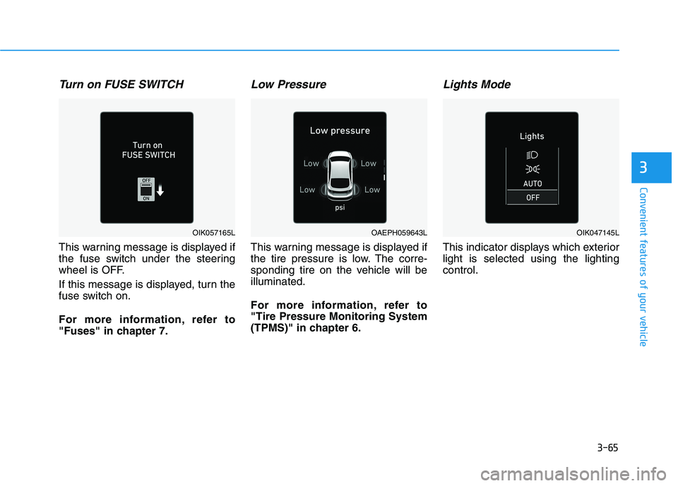 HYUNDAI IONIQ ELECTRIC 2021  Owners Manual 3-65
Convenient features of your vehicle
3
Turn on FUSE SWITCH  
This warning message is displayed if 
the fuse switch under the steering
wheel is OFF. 
If this message is displayed, turn the 
fuse sw