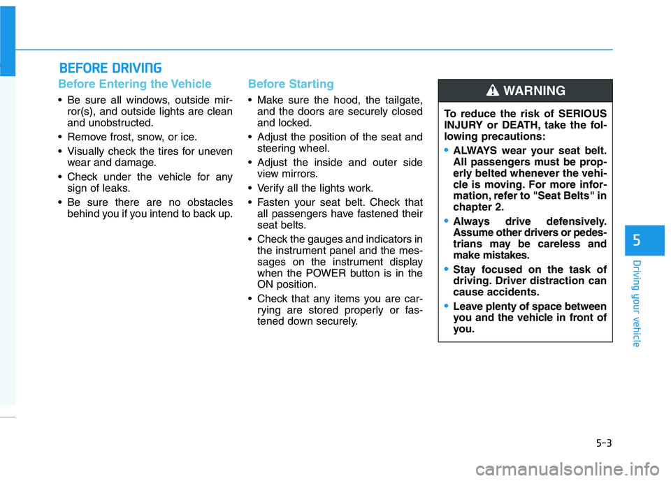 HYUNDAI IONIQ ELECTRIC 2021  Owners Manual 5-3
Driving your vehicle
5
Before Entering the Vehicle
• Be sure all windows, outside mir-ror(s), and outside lights are clean 
and unobstructed.
 Remove frost, snow, or ice. 
 Visually check the ti
