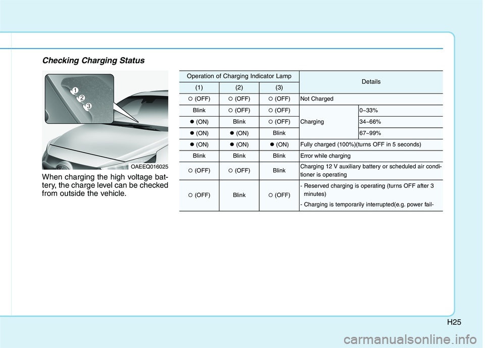 HYUNDAI IONIQ ELECTRIC 2021  Owners Manual H25
Checking Charging Status
When charging the high voltage bat- 
tery, the charge level can be checked
from outside the vehicle.
OAEEQ016025
Operation of Charging Indicator LampDetails(1)(2)(3)
�(OFF
