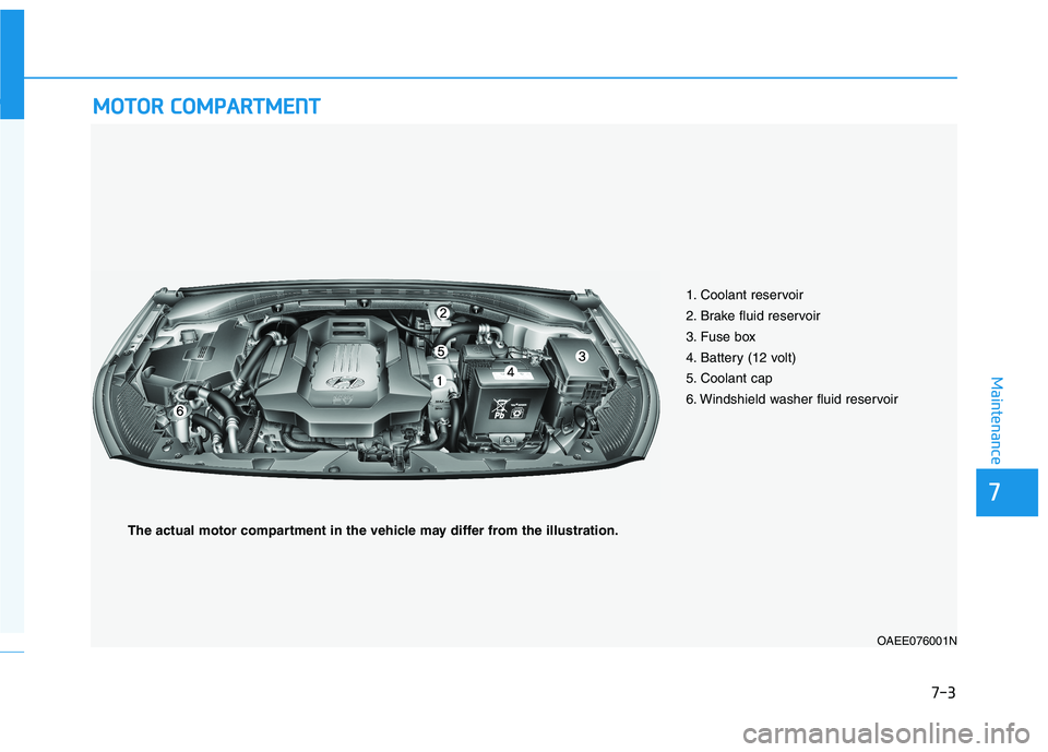 HYUNDAI IONIQ ELECTRIC 2021  Owners Manual 7-3
7
Maintenance
MMOOTTOO RR  CC OO MM PPAA RRTTMM EENN TT  
1. Coolant reservoir 
2. Brake fluid reservoir
3. Fuse box
4. Battery (12 volt) 
5. Coolant cap
6. Windshield washer fluid reservoir
OAEE0