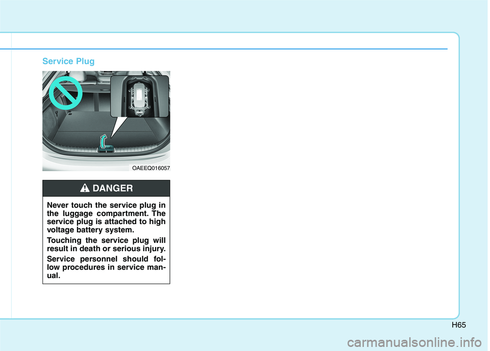 HYUNDAI IONIQ ELECTRIC 2021  Owners Manual H65
Service Plug
OAEEQ016057
Never touch the service plug in 
the luggage compartment. The
service plug is attached to high
voltage battery system. 
Touching the service plug will 
result in death or 