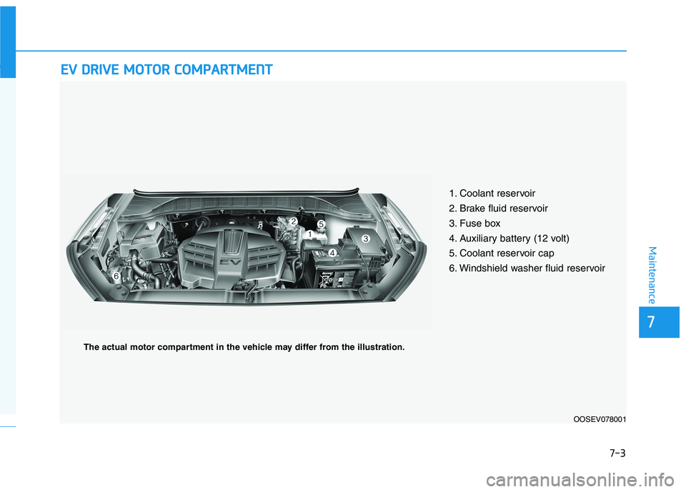 HYUNDAI KONA EV 2021  Owners Manual 7-3
7
Maintenance
E EV
V 
 D
DR
RI
IV
VE
E 
 M
MO
OT
TO
OR
R 
 C
CO
OM
MP
PA
AR
RT
TM
ME
EN
NT
T 
 
1. Coolant reservoir
2. Brake fluid reservoir
3. Fuse box
4. Auxiliary battery (12 volt) 
5. Coolant