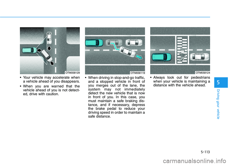 HYUNDAI NEXO 2019  Owners Manual 5-113
Driving your vehicle
5
 Your vehicle may accelerate when
a vehicle ahead of you disappears.
 When you are warned that the
vehicle ahead of you is not detect-
ed, drive with caution. When driving