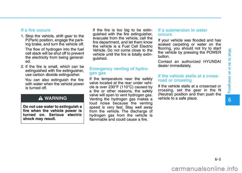 HYUNDAI NEXO 2019  Owners Manual 6-3
What to do in an emergency
If a fire occurs
1. Stop the vehicle, shift gear to the
P(Park) position, engage the park-
ing brake, and turn the vehicle off.
The flow of hydrogen into the fuel
cell s