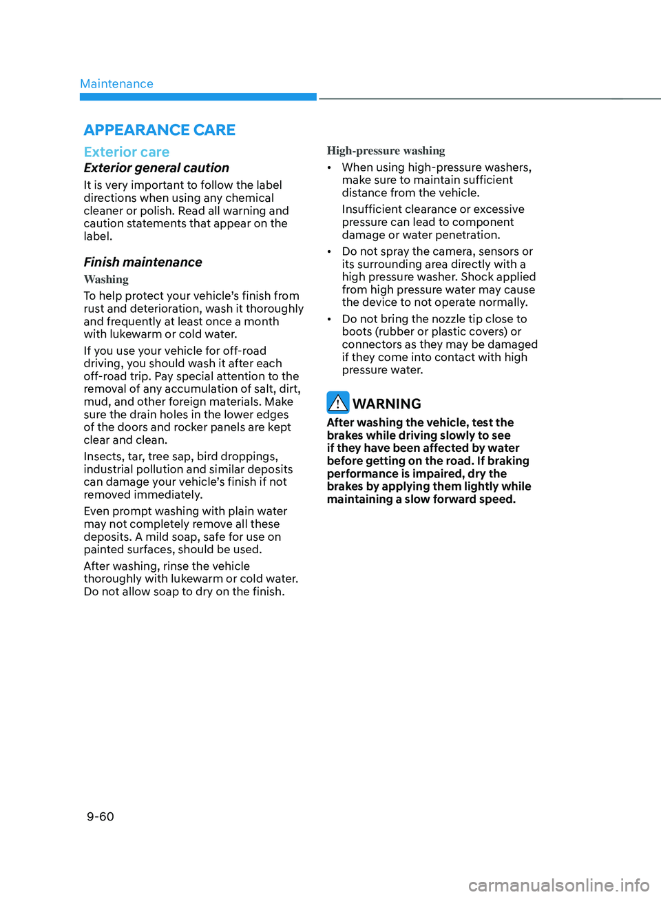 HYUNDAI SANTA FE CALLIGRAPHY 2021  Owners Manual Maintenance
9-60
Exterior care
Exterior general caution
It is very important to follow the label 
directions when using any chemical 
cleaner or polish. Read all warning and 
caution statements that a