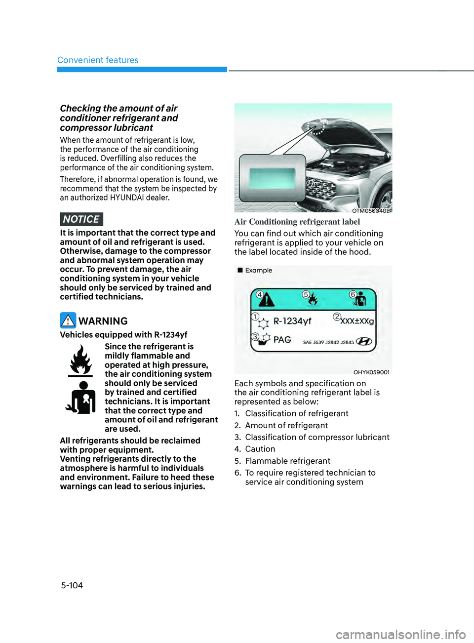 HYUNDAI SANTA FE LIMITED 2021  Owners Manual Convenient features
5-104
Checking the amount of air 
conditioner refrigerant and 
compressor lubricant
When the amount of refrigerant is low, 
the performance of the air conditioning 
is reduced. Ove