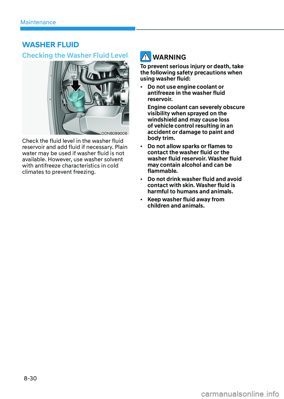 HYUNDAI SONATA 2023  Owners Manual Maintenance
8-30
Checking the Washer Fluid Level
ODN8089006
Check the fluid level in the washer fluid  
reservoir and add fluid if necessary. Plain 
water may be used if washer fluid is not 
available