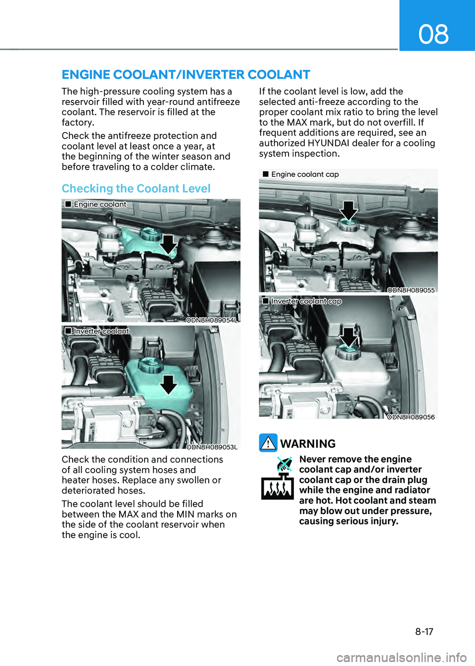 HYUNDAI SONATA HYBRID 2021  Owners Manual 08
8-17
The high-pressure cooling system has a 
reservoir filled with year-round antifreeze 
coolant. The reservoir is filled at the 
factory.
Check the antifreeze protection and 
coolant level at lea