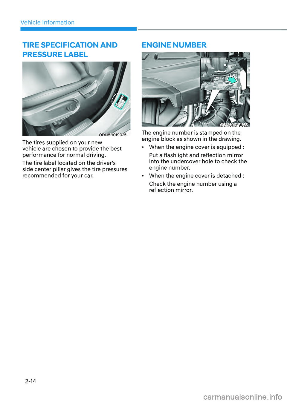 HYUNDAI SONATA HYBRID 2020  Owners Manual Vehicle Information
2-14
TIRE SPECIFICATION AND 
PRESSURE LABEL
ODN8H019025L
The tires supplied on your new 
vehicle are chosen to provide the best 
performance for normal driving.
The tire label loca