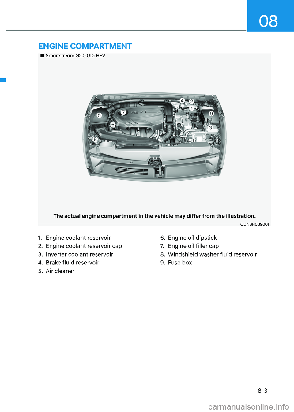 HYUNDAI SONATA HYBRID 2020  Owners Manual 8-3
08
„„Smartstream G2.0 GDi HEV
The actual engine compartment in the vehicle may differ from the illustration.
ODN8H089001
1. Engine coolant reservoir
2. Engine coolant reservoir cap
3. In